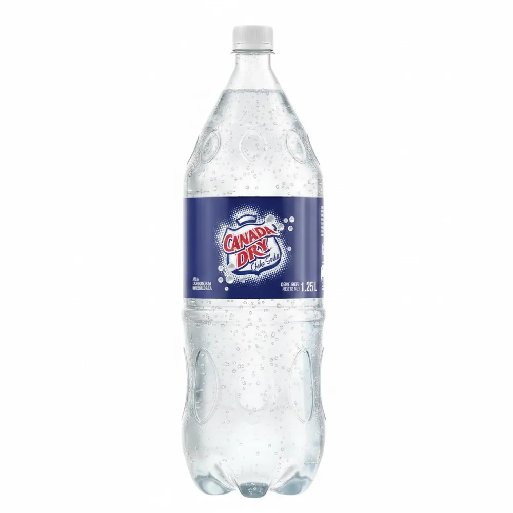 Soda Canada Dry 1.25 Lt
