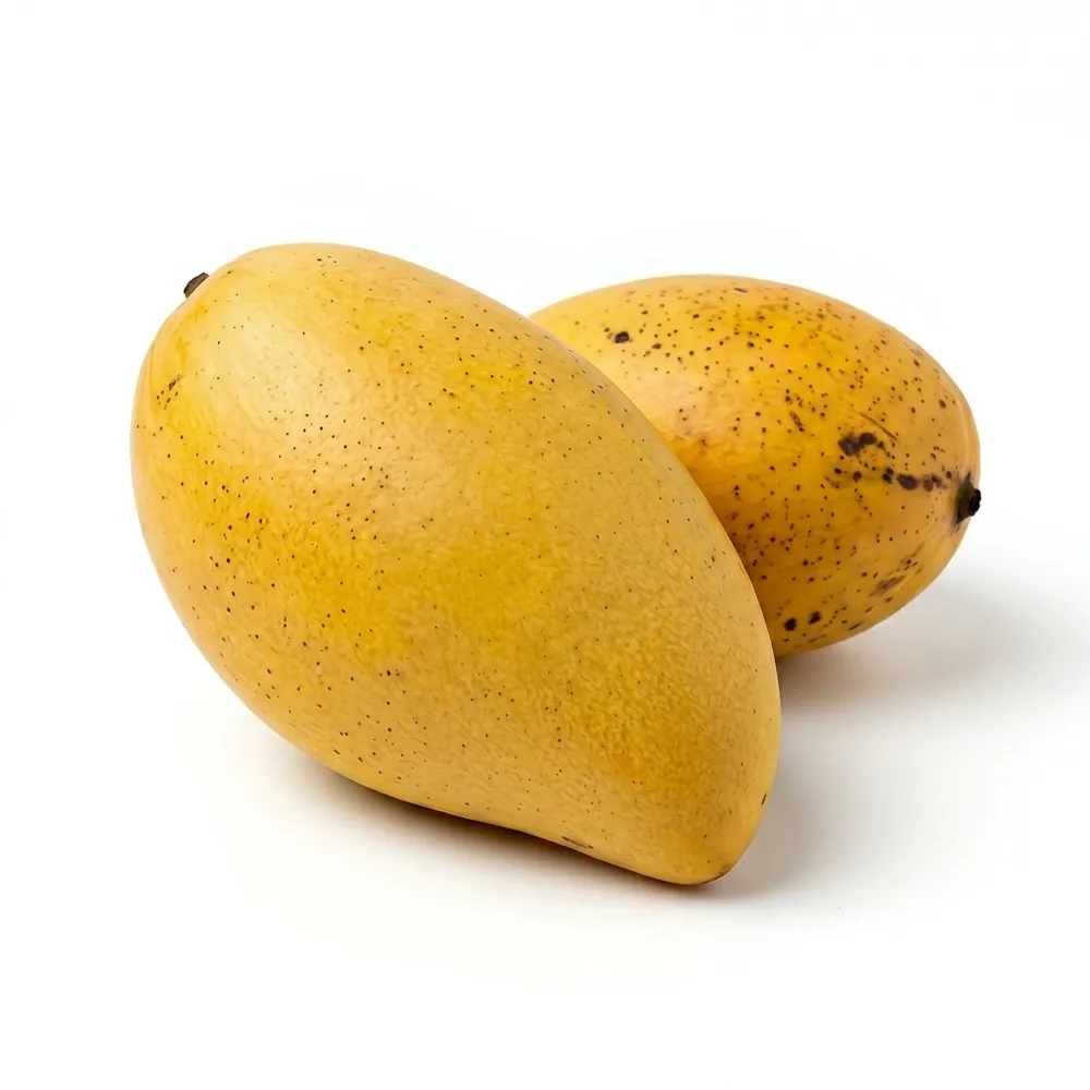 Mango Madame Francoise Und