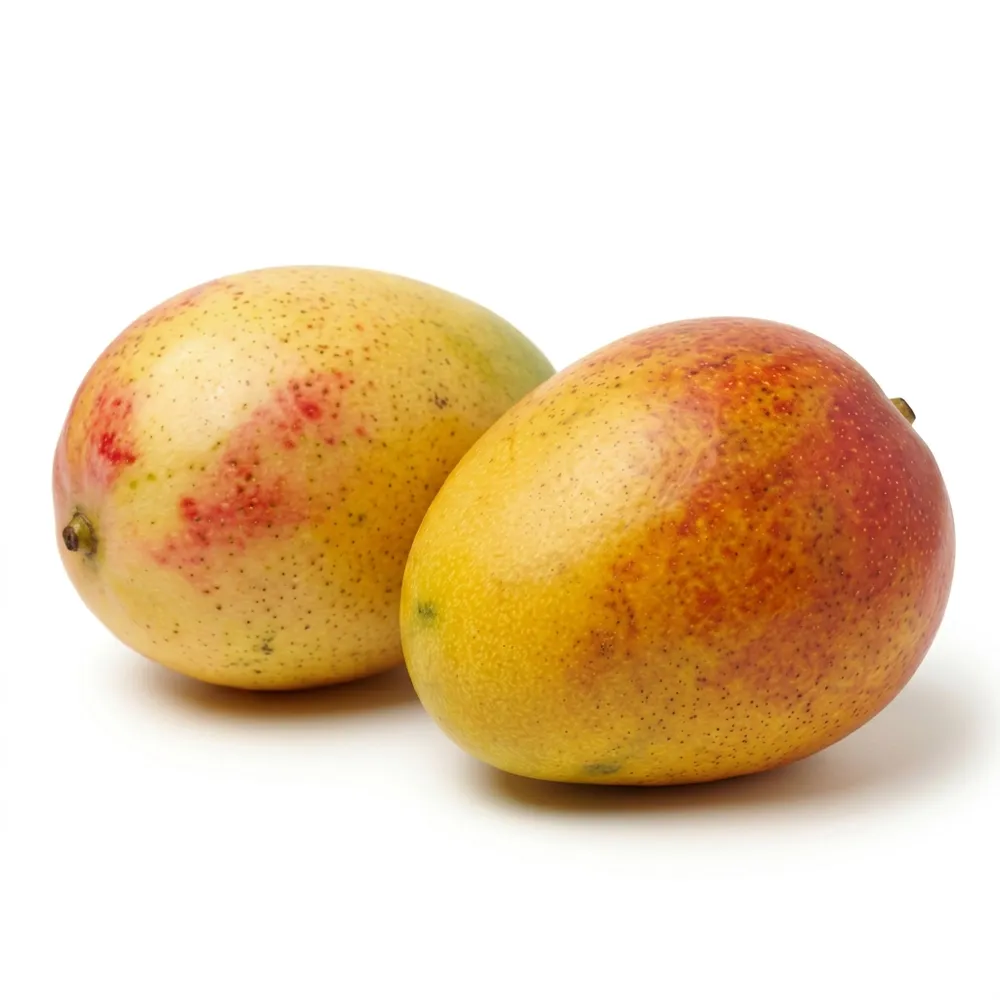 Mango Palmer Un