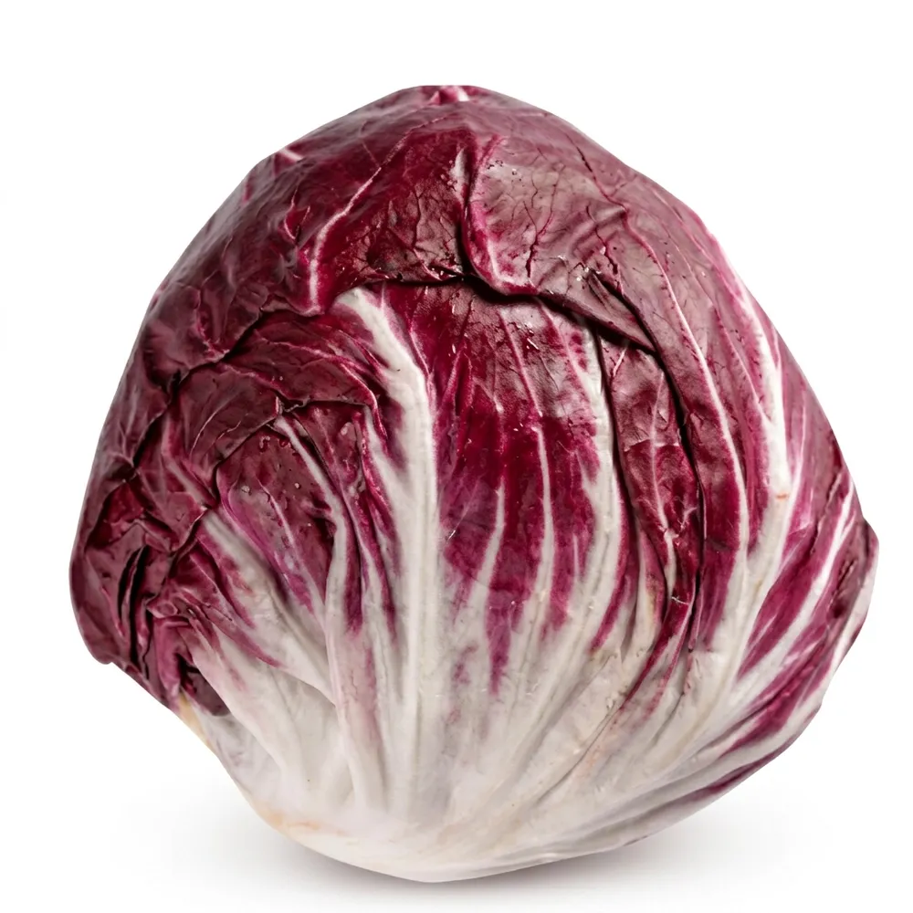 Repollo Morado