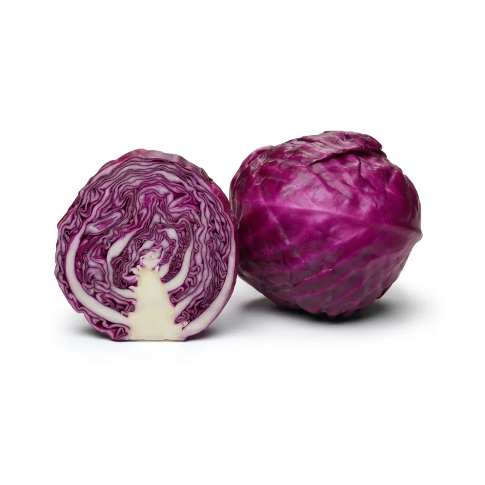 Repollo Morado Pequeño Organico