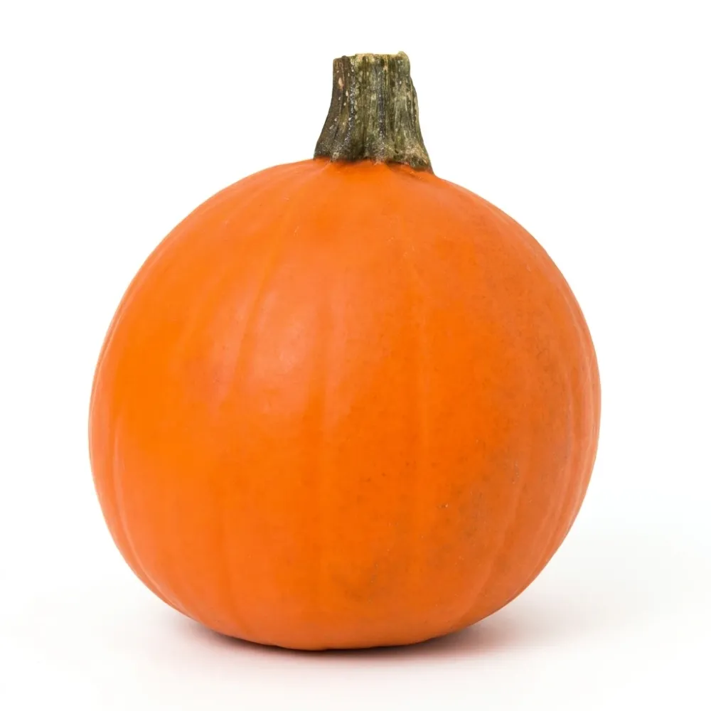 Calabaza Mediana Unidad